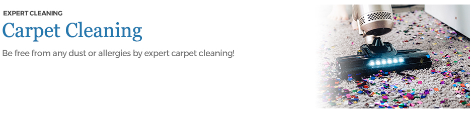 Carpet Cleaning Visual