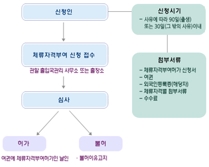 visa type process